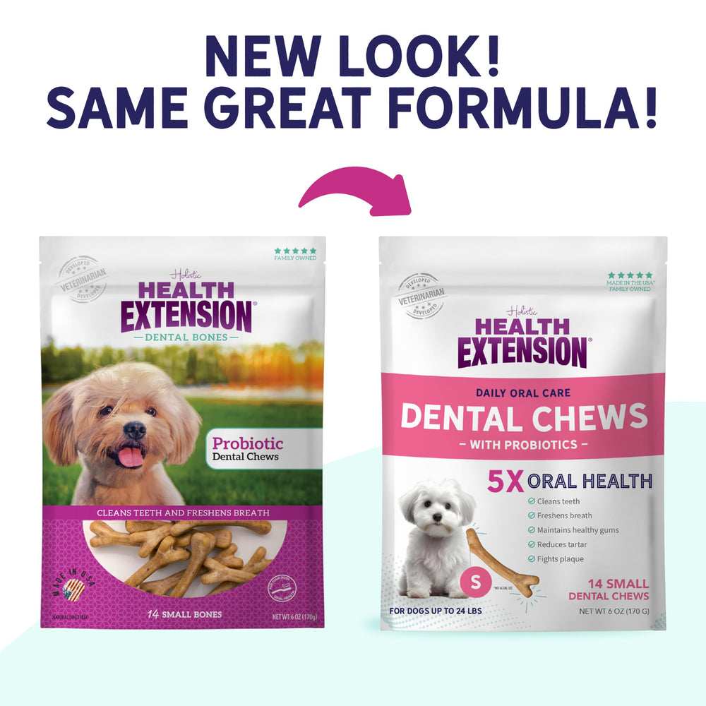 Puppy training reward with Health Extension Probiotic Dental Bones.