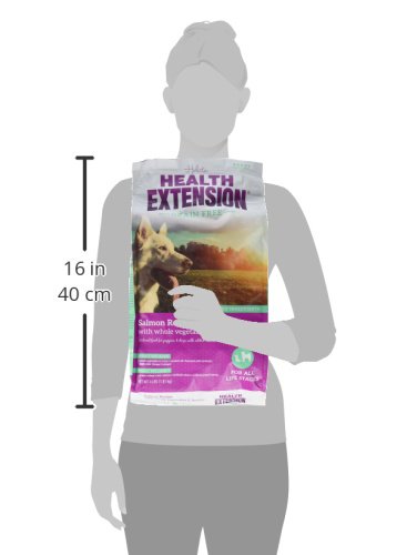 Health Extension probiotics-prebiotics bottle label emphasizes gut health support for daily digestion.