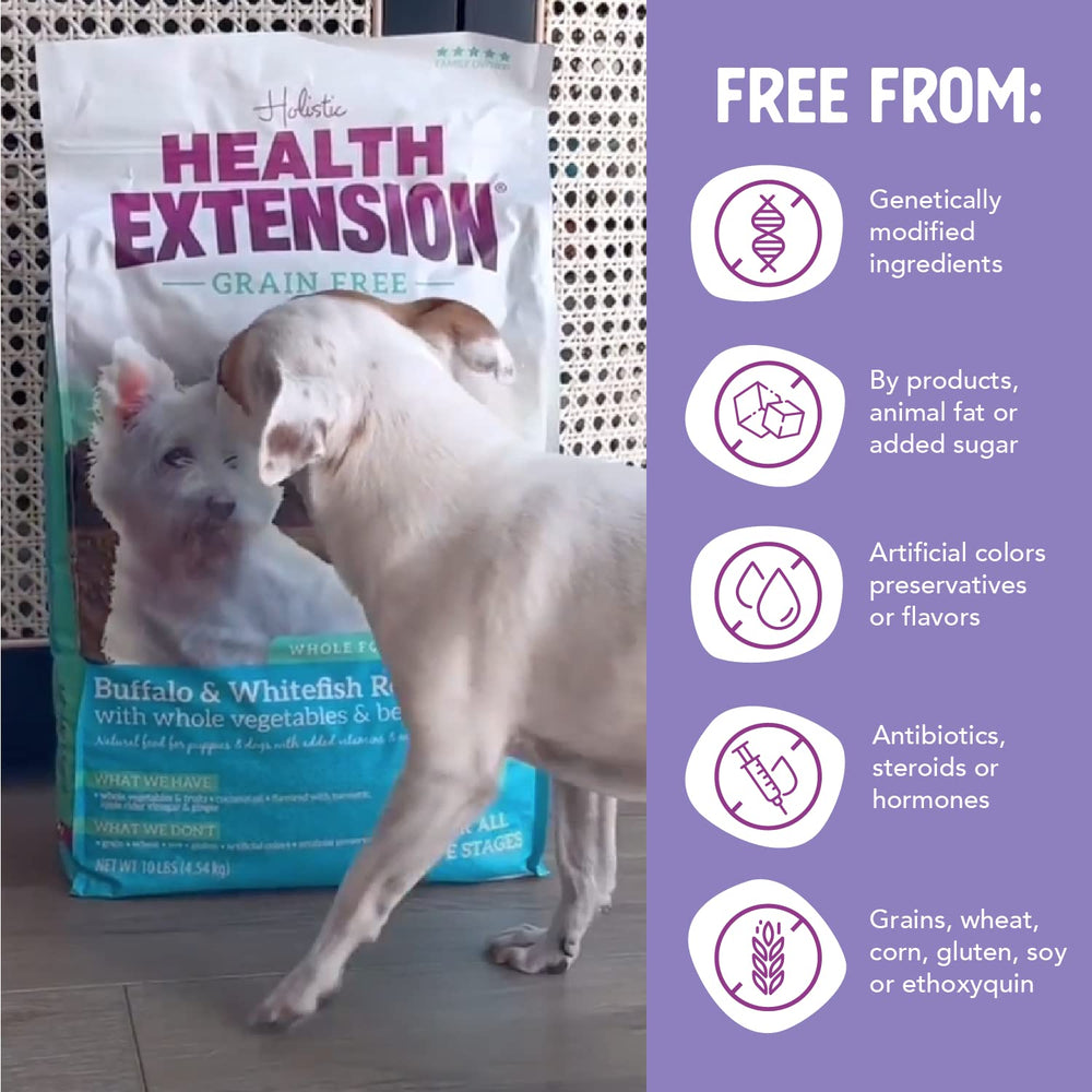 Health Extension probiotics-prebiotics image communicates digestive balance and gut-friendly formula for small dogs.