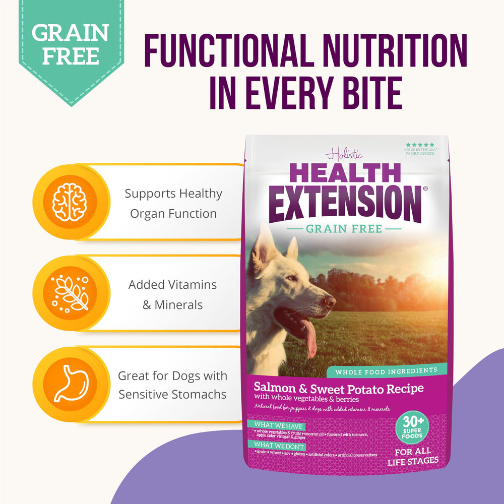 Health Extension probiotics-turmeric section highlights gut-friendly nutrition and immune-supporting ingredients.