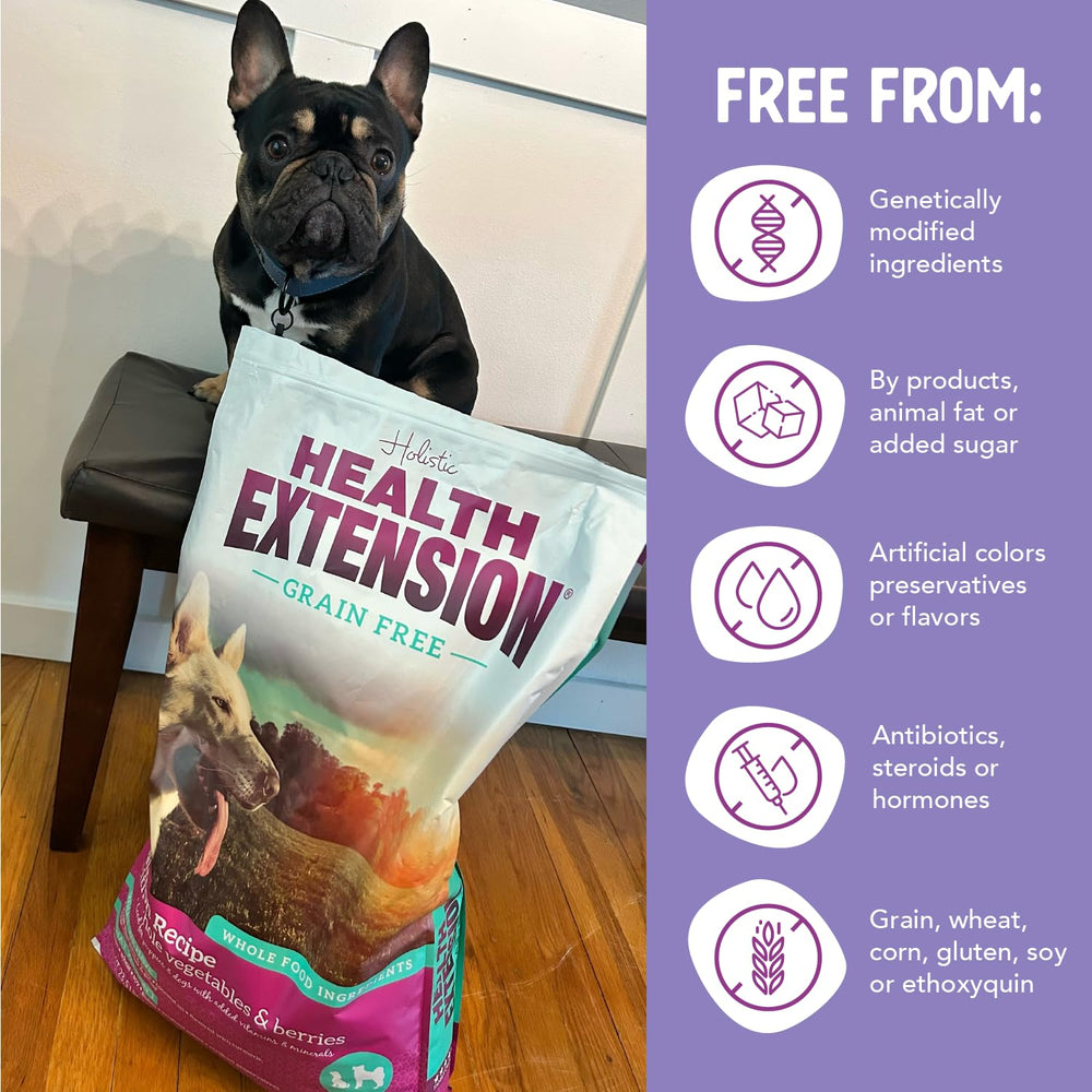 Health Extension real-salmon-closeup showcases premium protein quality