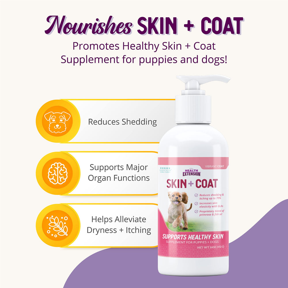 Health Extension Skin & Coat glossy coat close-up indicates enhanced shine potential