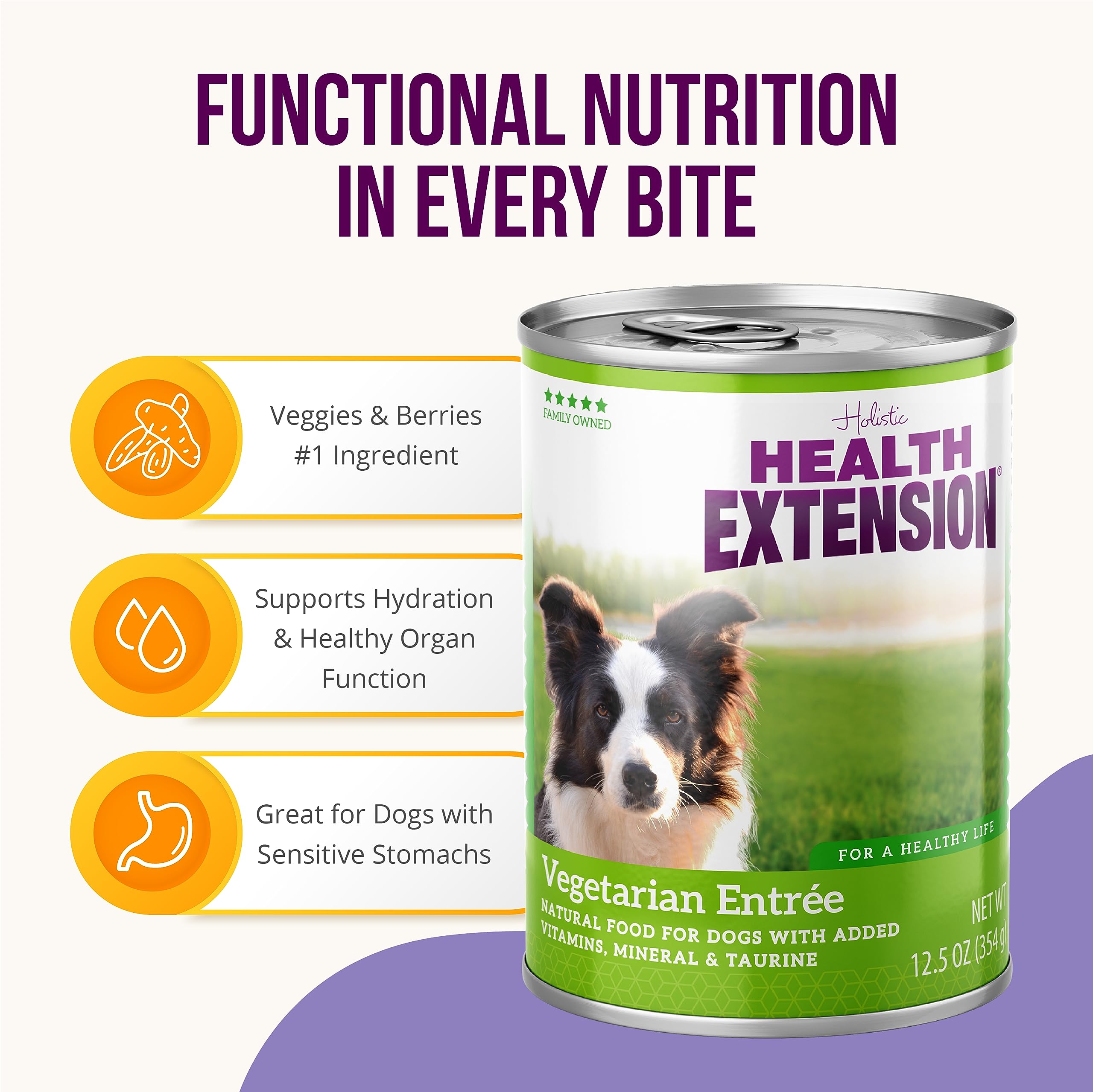 Health Extension Vegetarian Entrée kibble-mix image demonstrates versatile feeding options.