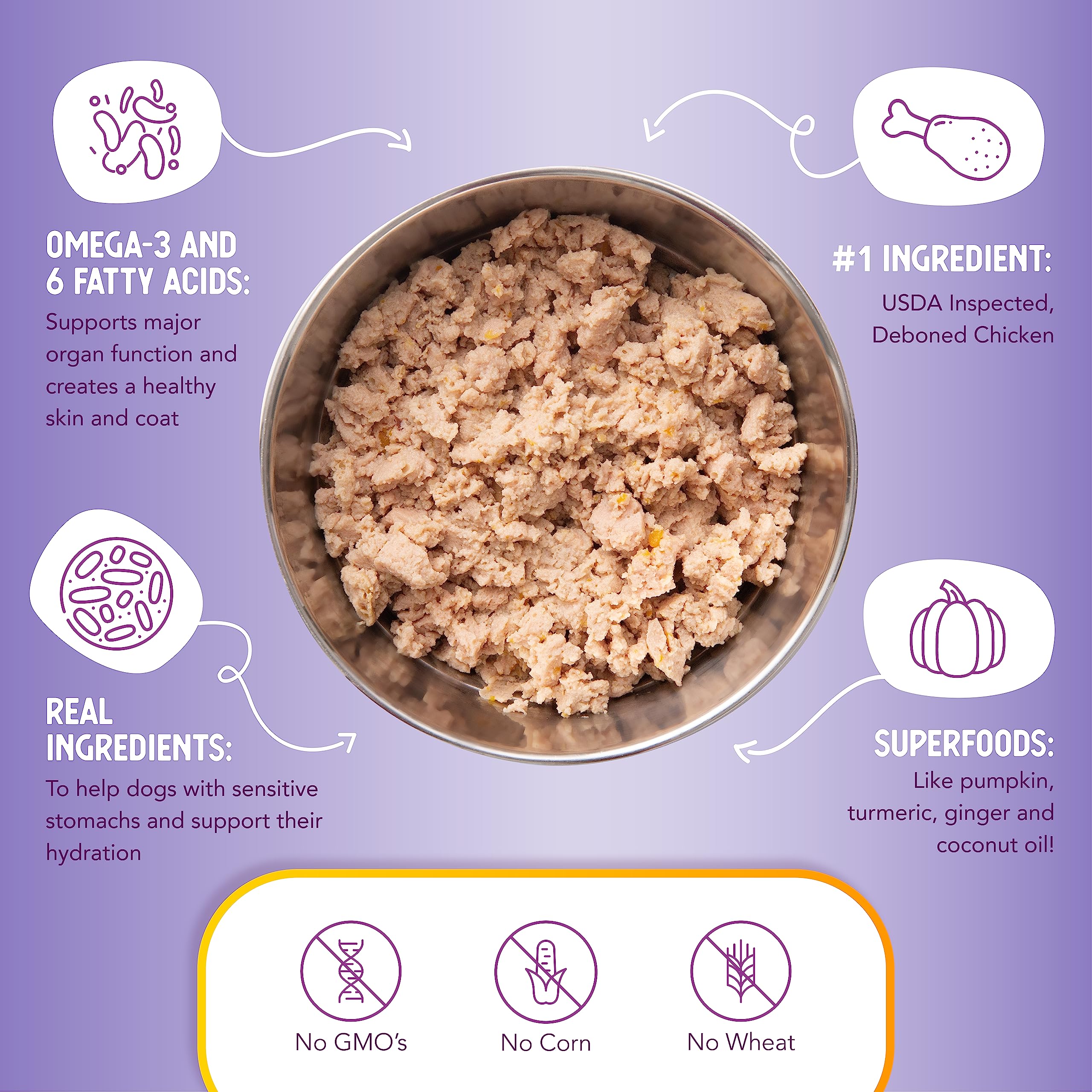 Health Extension gravy texture closeup conveys appetizing aroma and hydration-rich meal.