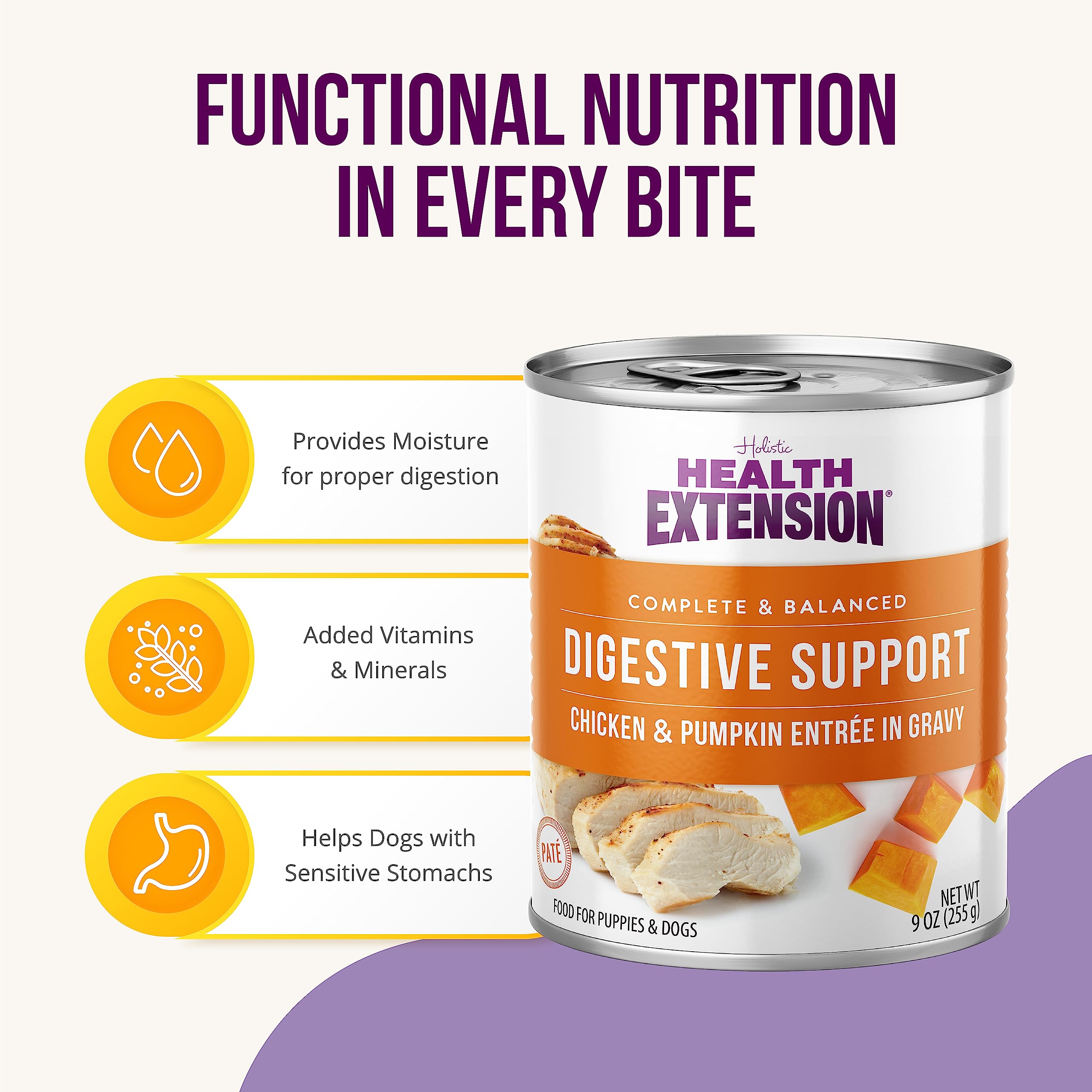 Health Extension chicken pumpkin entree with gravy shows soothing texture for sensitive stomachs.