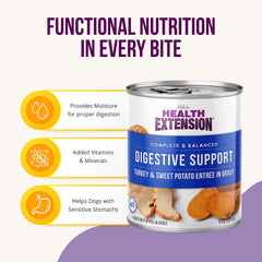 Close-up of turmeric and ginger in Health Extension recipe highlighting immune-supporting ingredients.