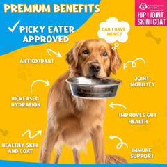 Healthpro Prods VitaGravy resealable pouches keeping freshness for dogs.
