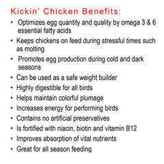 Healthy Coat Kickin Chicken Feed Supplement energy-ready hens in motion during daily routines