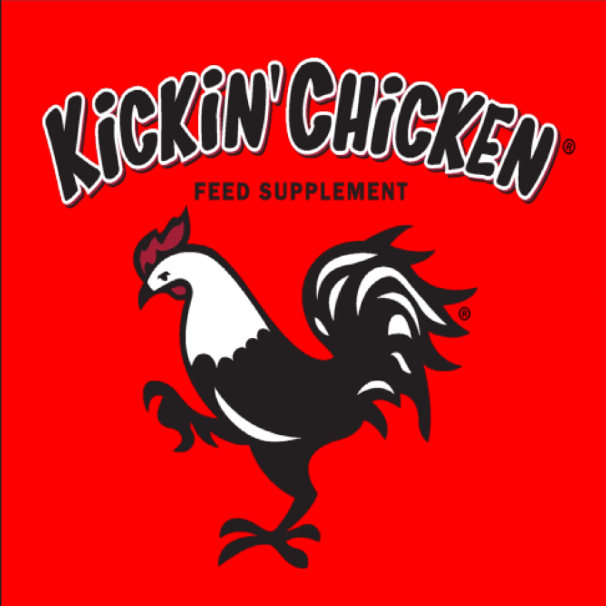 Healthy Coat Kickin Chicken Feed Supplement immune-supporting vibe among busy hens