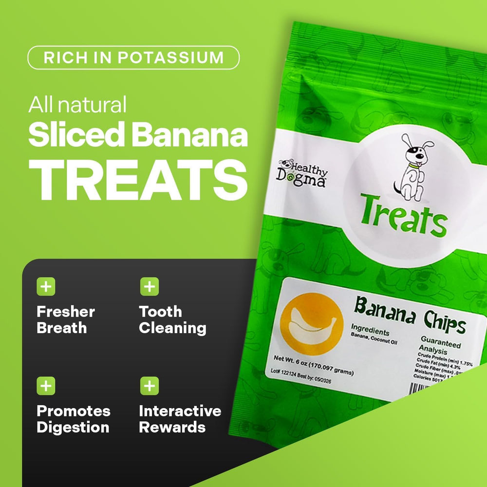 Close-up of Healthy Dogma banana chips highlighting natural ingredients and flavor.