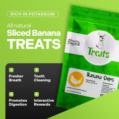 Close-up of Healthy Dogma banana chips highlighting natural ingredients and flavor.