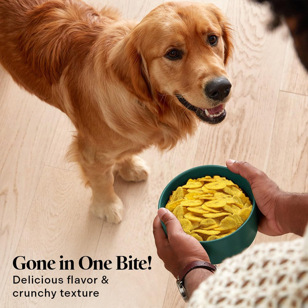 Healthy Dogma banana chips may promote a glossy coat and vitality.