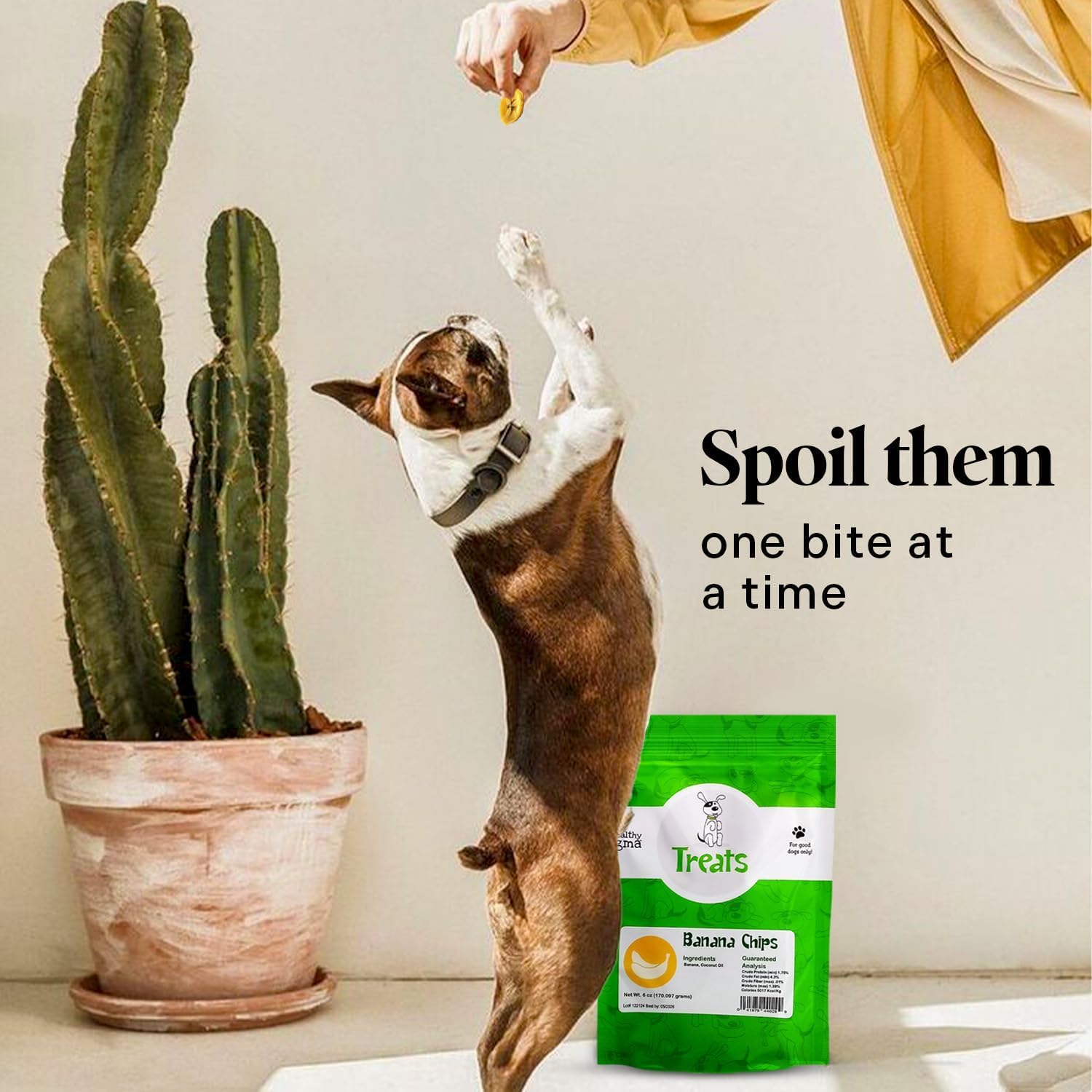 Serving suggestions for Healthy Dogma banana chips during snack time.