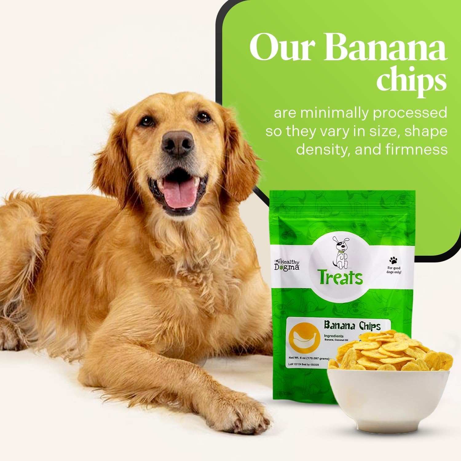 Healthy Dogma banana chips used as a training reward during a session.