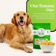 Healthy Dogma banana chips used as a training reward during a session.