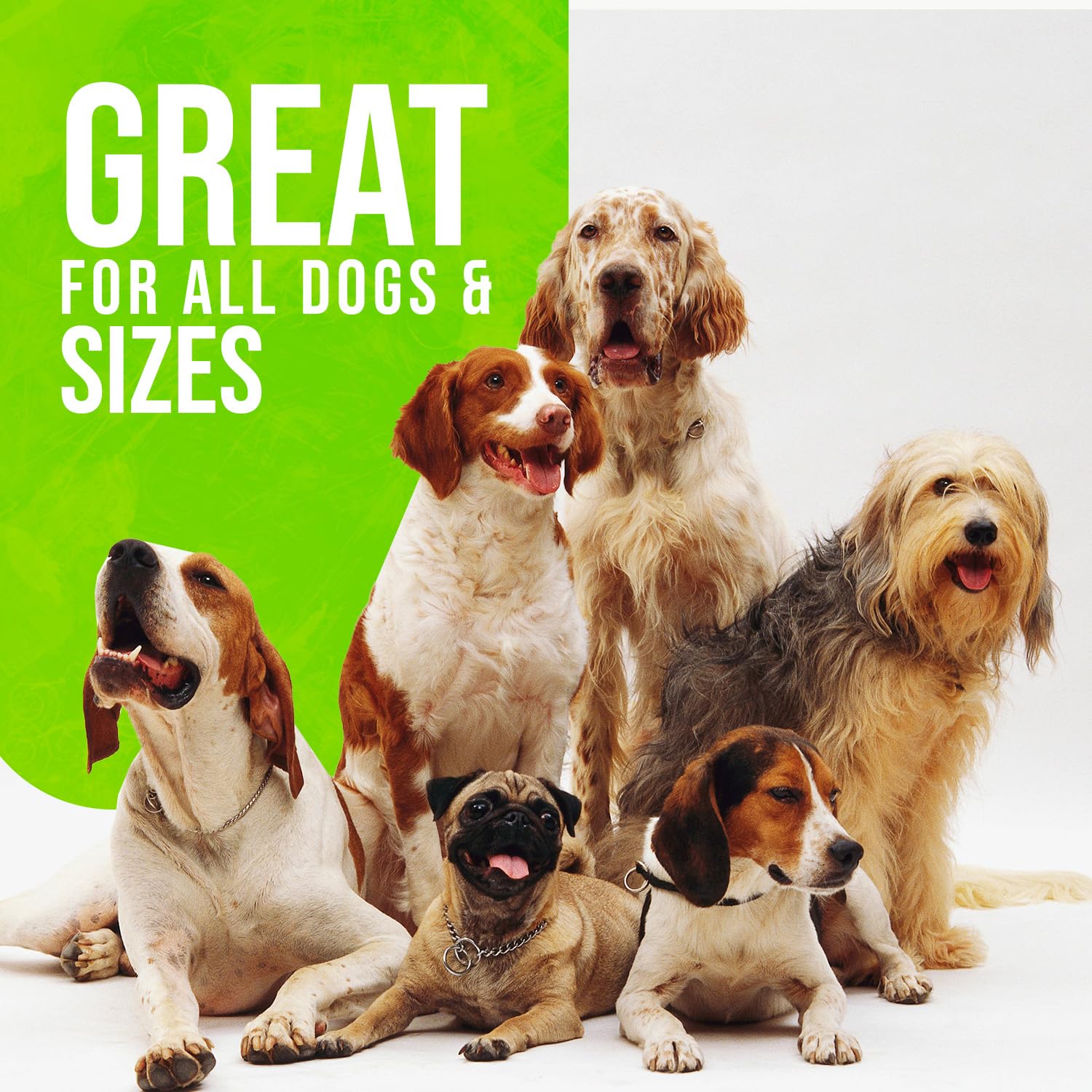 Healthy Dogma treats around coat shine and skin health over time.