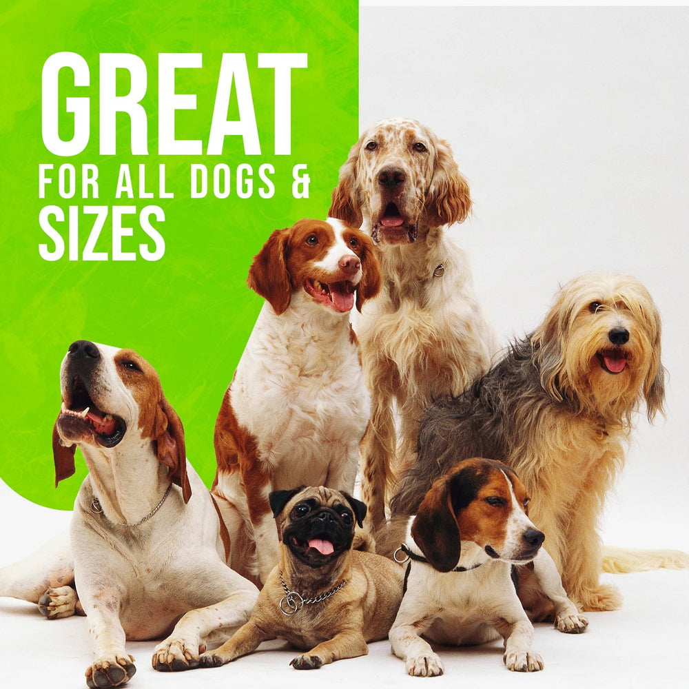 Healthy Dogma treats around coat shine and skin health over time.