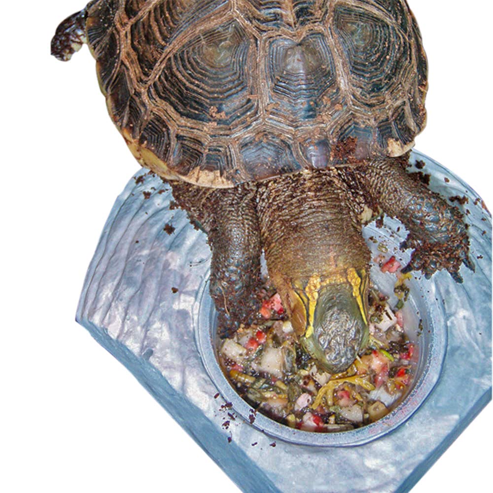 Bulk pack option for Healthy Herp Box Turtle Food simplifies feeding multiple reptiles.