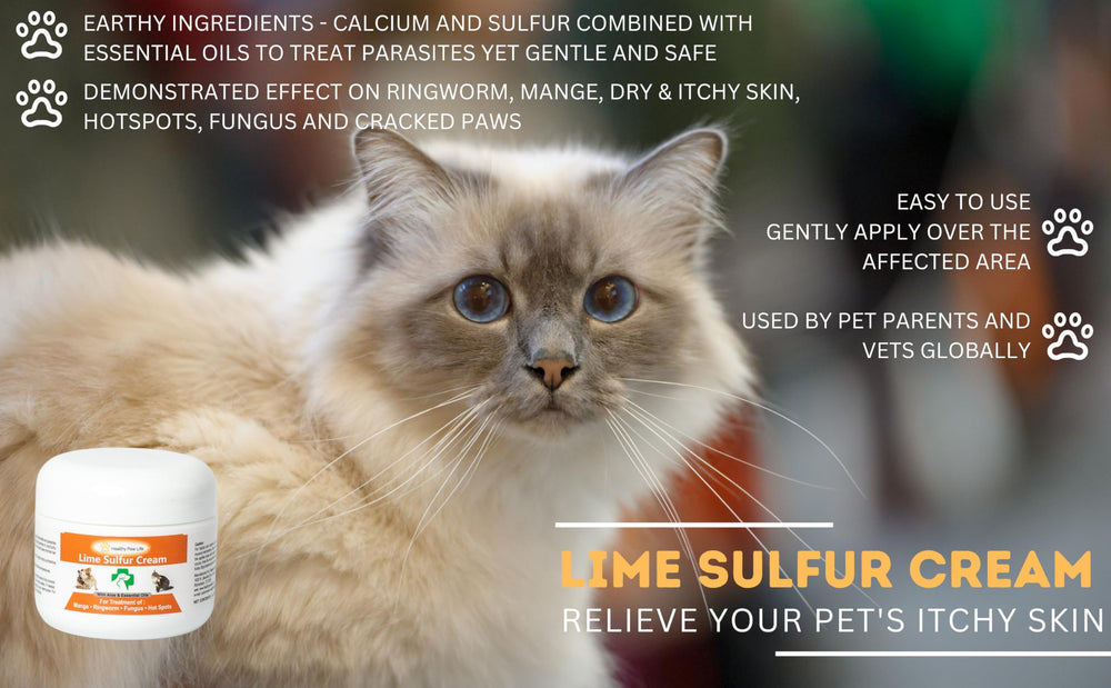 Healthy Paw Life cat-skin-care-cream emphasizes gentle, safe pet skincare.
