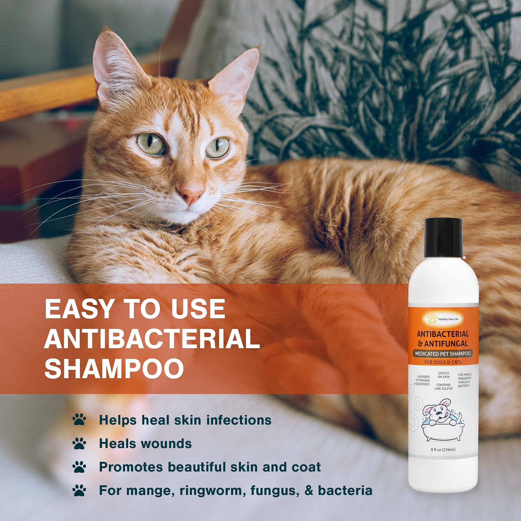 Healthy Paw Life Classics Lime Sulfur Shampoo application highlights easy coat cleansing.