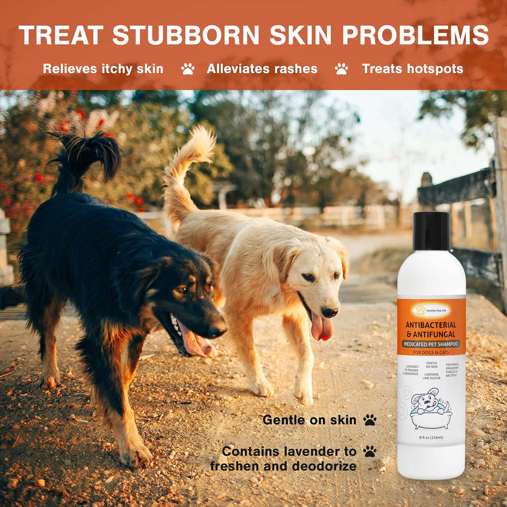 Healthy Paw Life Classics Lime Sulfur Shampoo lather demonstrates cleansing for itchy skin.
