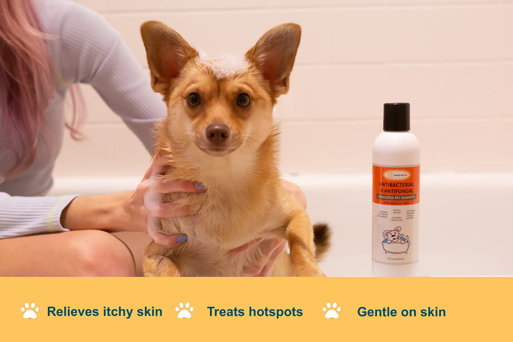 Healthy Paw Life Classics pet hair deodorizing illustrates multi-pet care benefits in homes.
