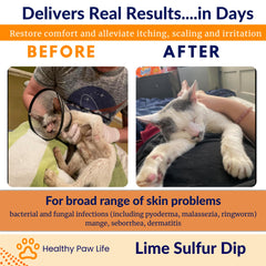 Healthy Paw Life lime sulfur dip cat use image for multi-species skin care routines