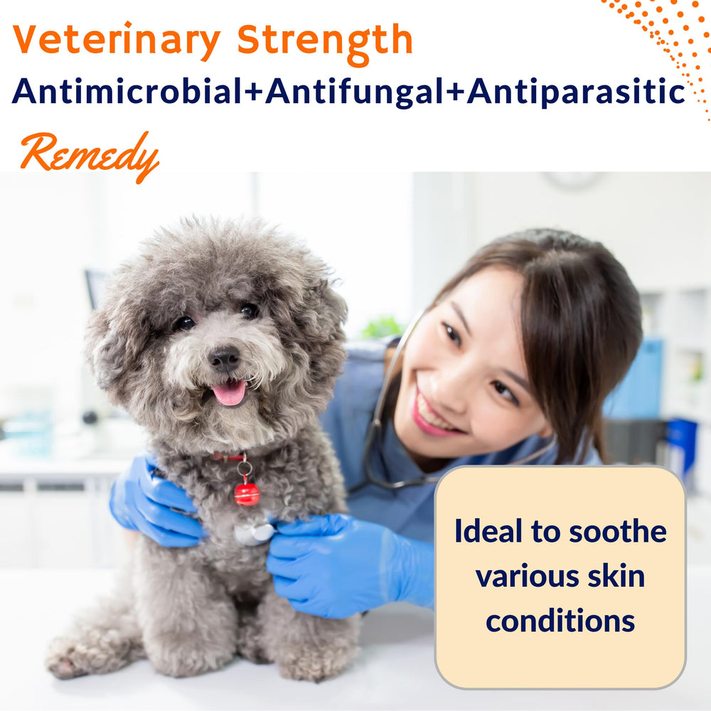 Healthy Paw Life lime sulfur dip sponge-application image demonstrates easy sponge-on use