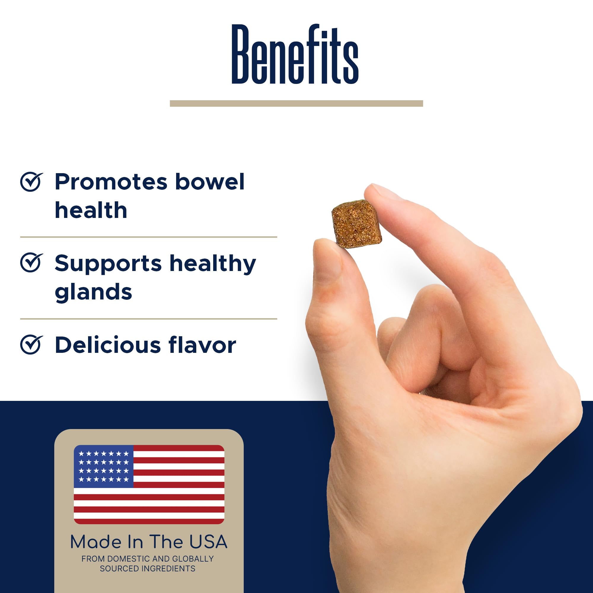 Healthy Pup psyllium husk ingredient demonstrating fiber-rich digestion support