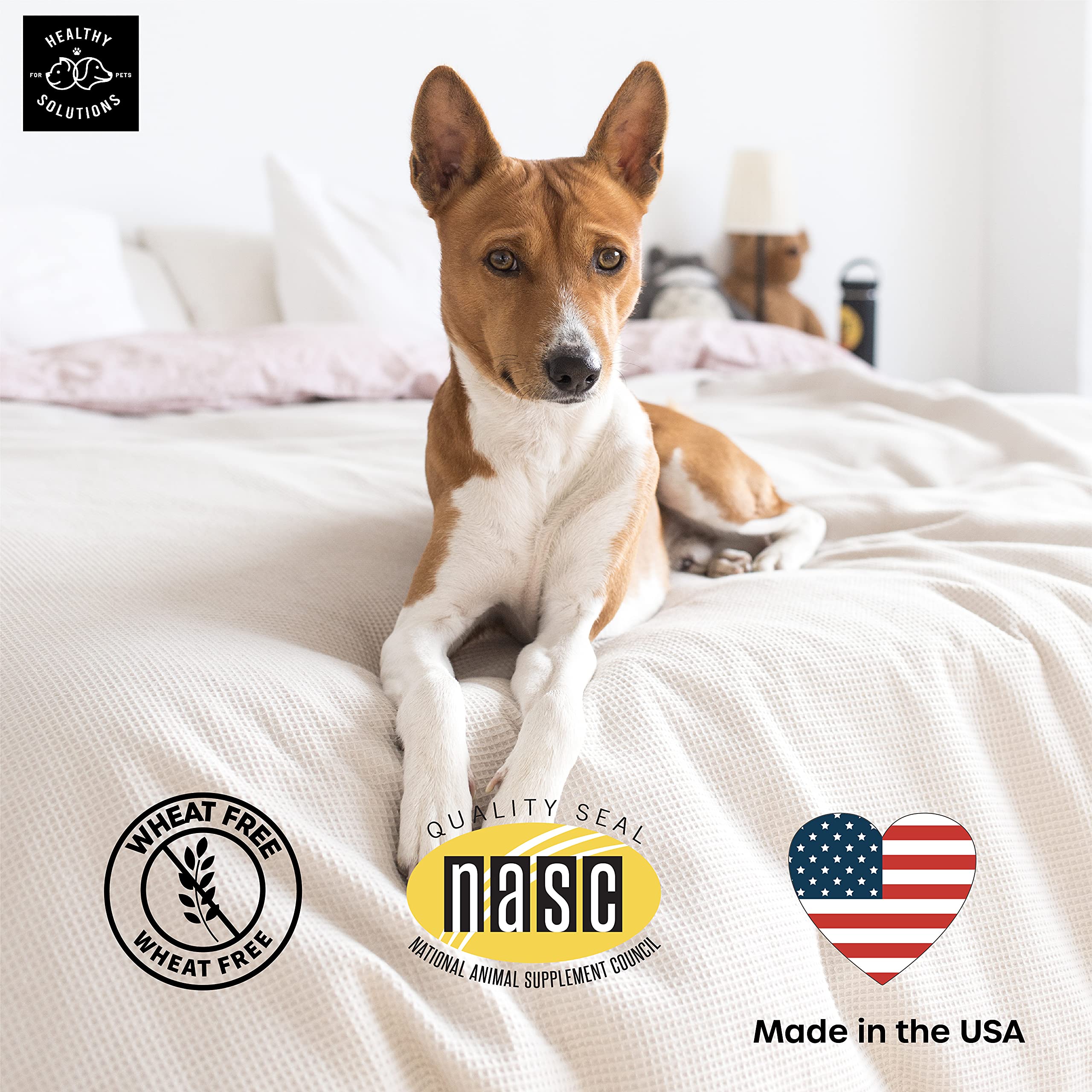 Healthy Solutions For Pets Calming Chews suitable for all ages and breeds.