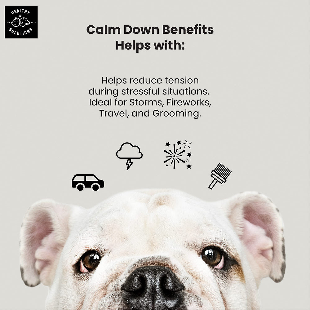 Healthy Solutions For Pets Calming Chews texture and taste promoting calmer behavior during playtime.