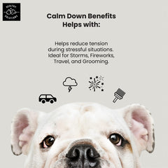 Healthy Solutions For Pets Calming Chews texture and taste promoting calmer behavior during playtime.