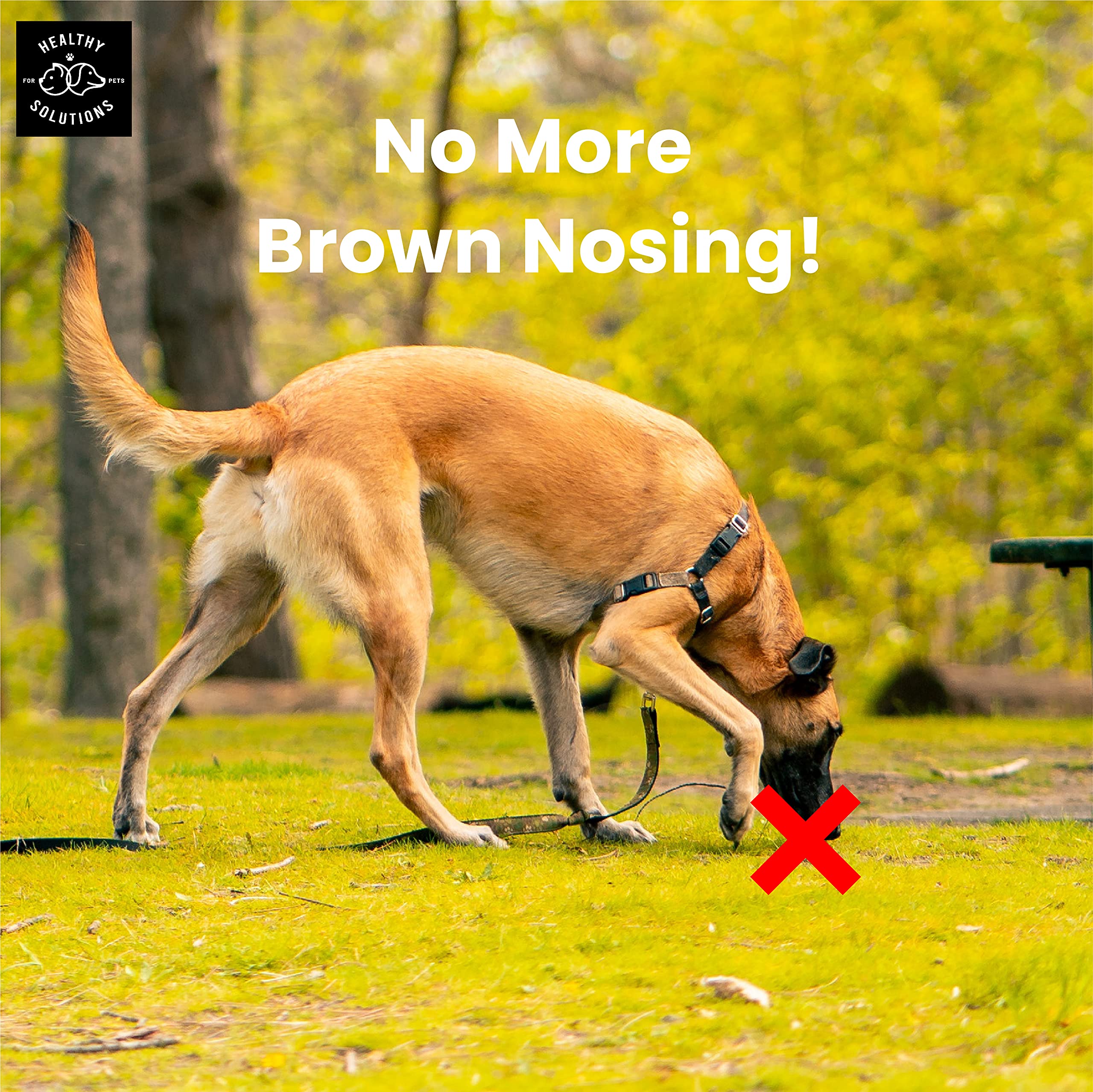 Healthy Solutions For Pets dog chews for multi-dog households—potential deterrence of stool eating