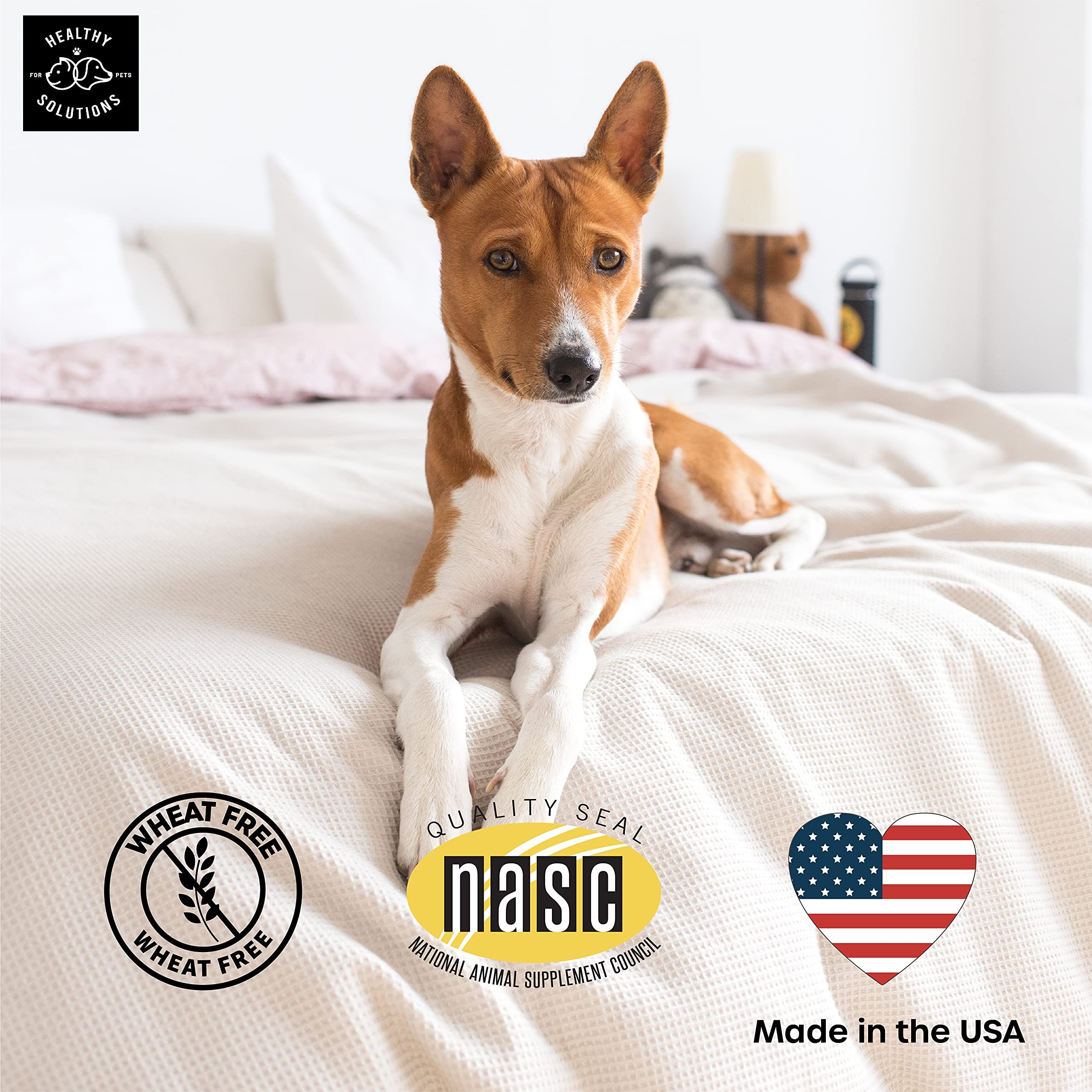 Healthy Solutions For Pets made-in-USA process—quality with FDA-audited facility