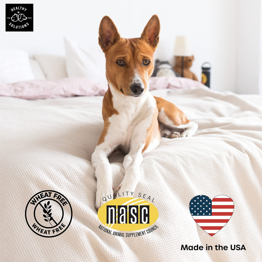 Healthy Solutions For Pets made-in-USA process—quality with FDA-audited facility
