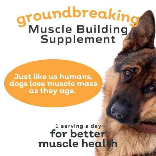 Dog with maintained muscle mass promoting healthy weight management
