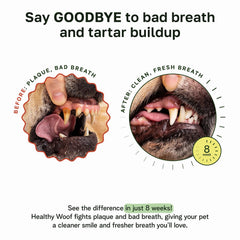 Healthy Woof dental powder mixed with water forming savory broth for easy care