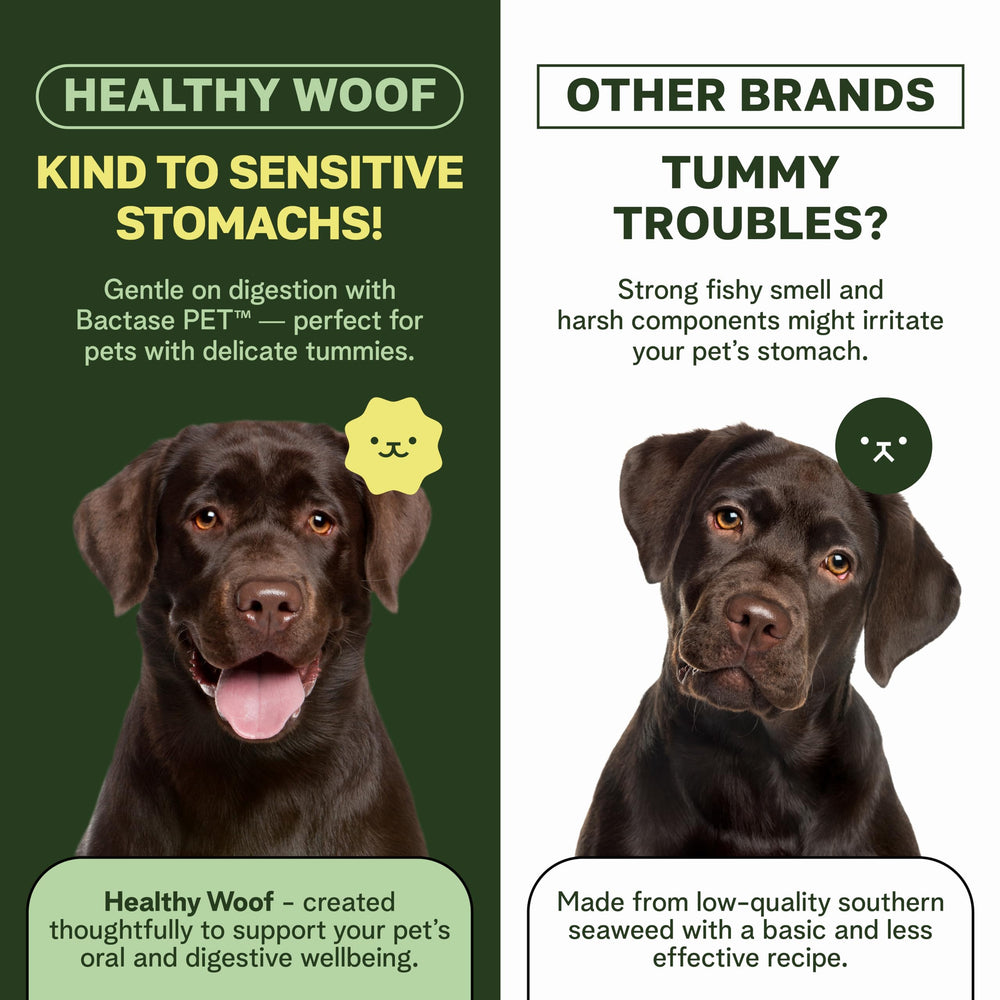 Healthy Woof green tea enzymes image suggests balance and breath freshness