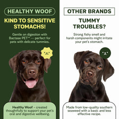 Healthy Woof green tea enzymes image suggests balance and breath freshness