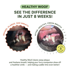 Healthy Woof Icelandic kelp ingredient highlights natural oral care support