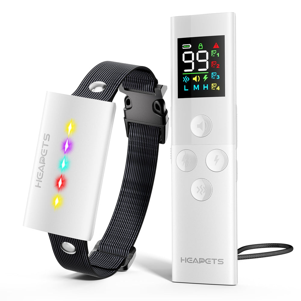 HEAPETS dog-training-collar-remote demonstrates training aid from a distance.