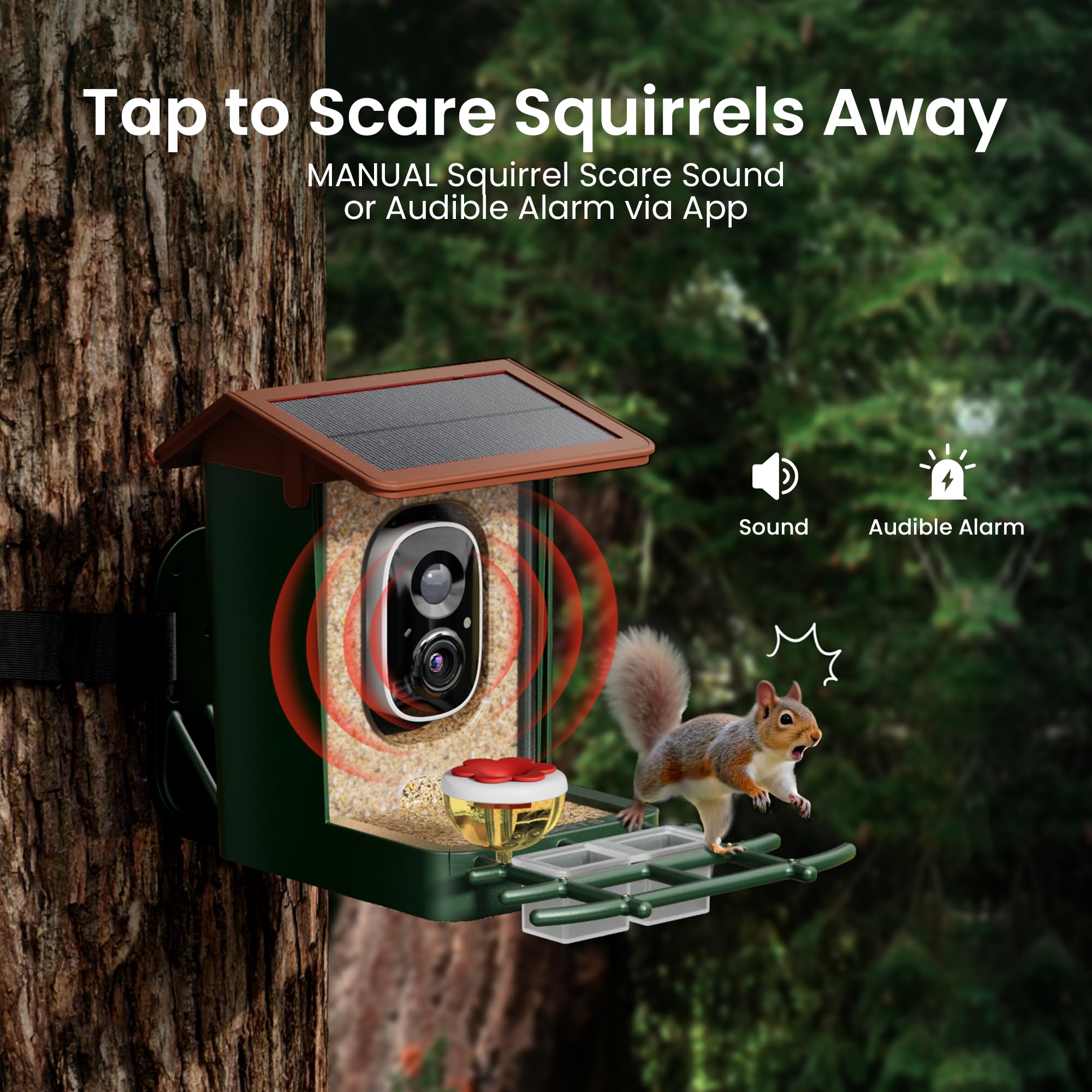 HEAPETS app notifications interface showing instant bird arrival alerts