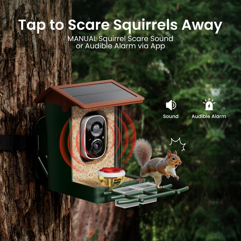 HEAPETS app notifications interface showing instant bird arrival alerts