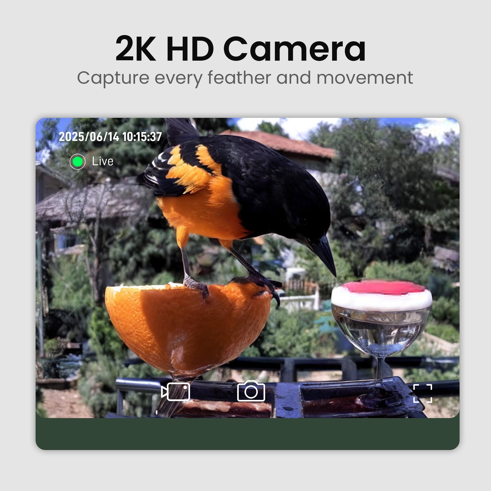 HEAPETS smart bird feeder camera side view highlighting privacy blur capability