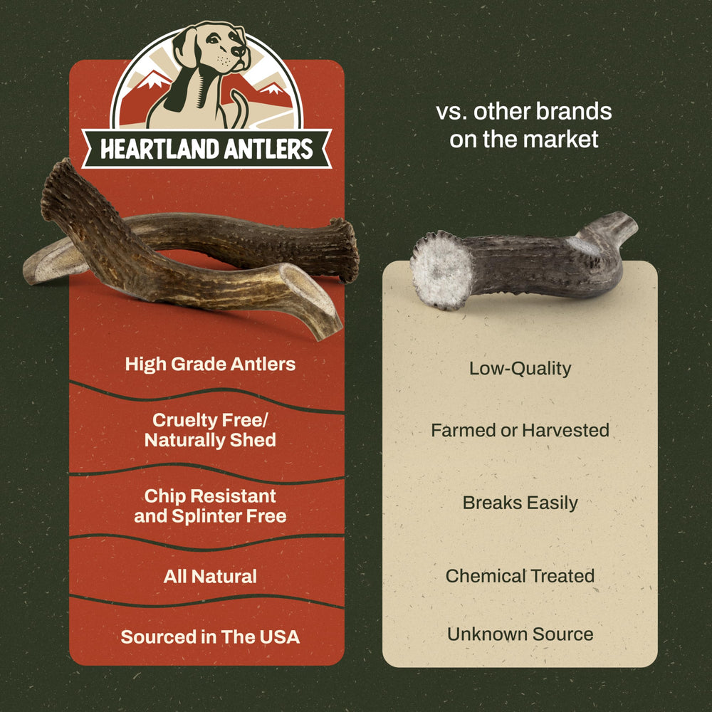Heartland Antlers great for aggressive chewers delivering long-lasting enrichment.