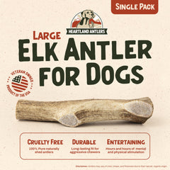 Heartland Antlers elk-antler close-up outer layer emphasizes long-lasting chew