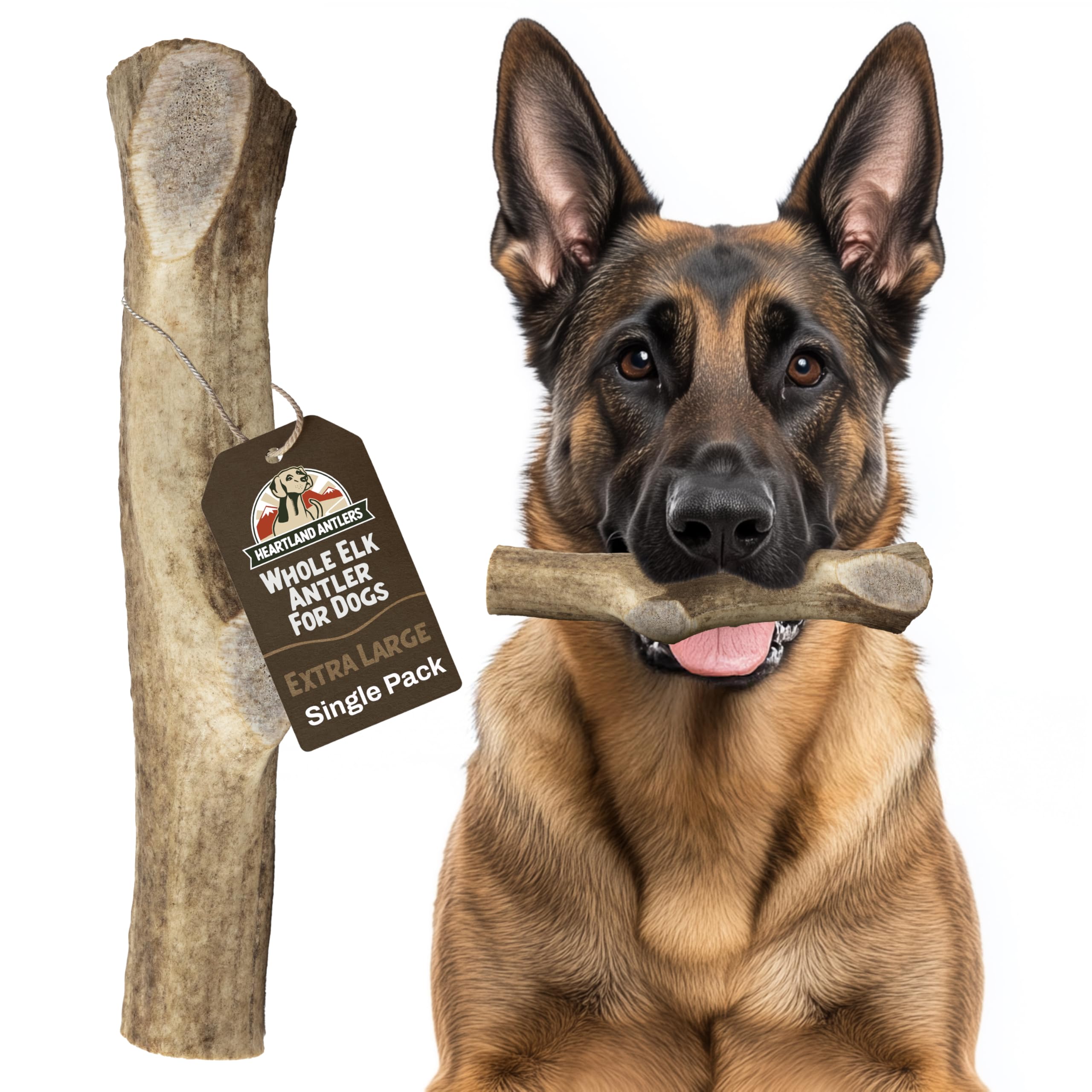 Heartland Antlers elk antler whole 8-inch durable chew for aggressive chewers