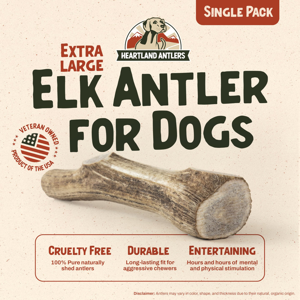 Heartland Antlers elk antler XL dog chew offers long-lasting entertainment for strong chewers