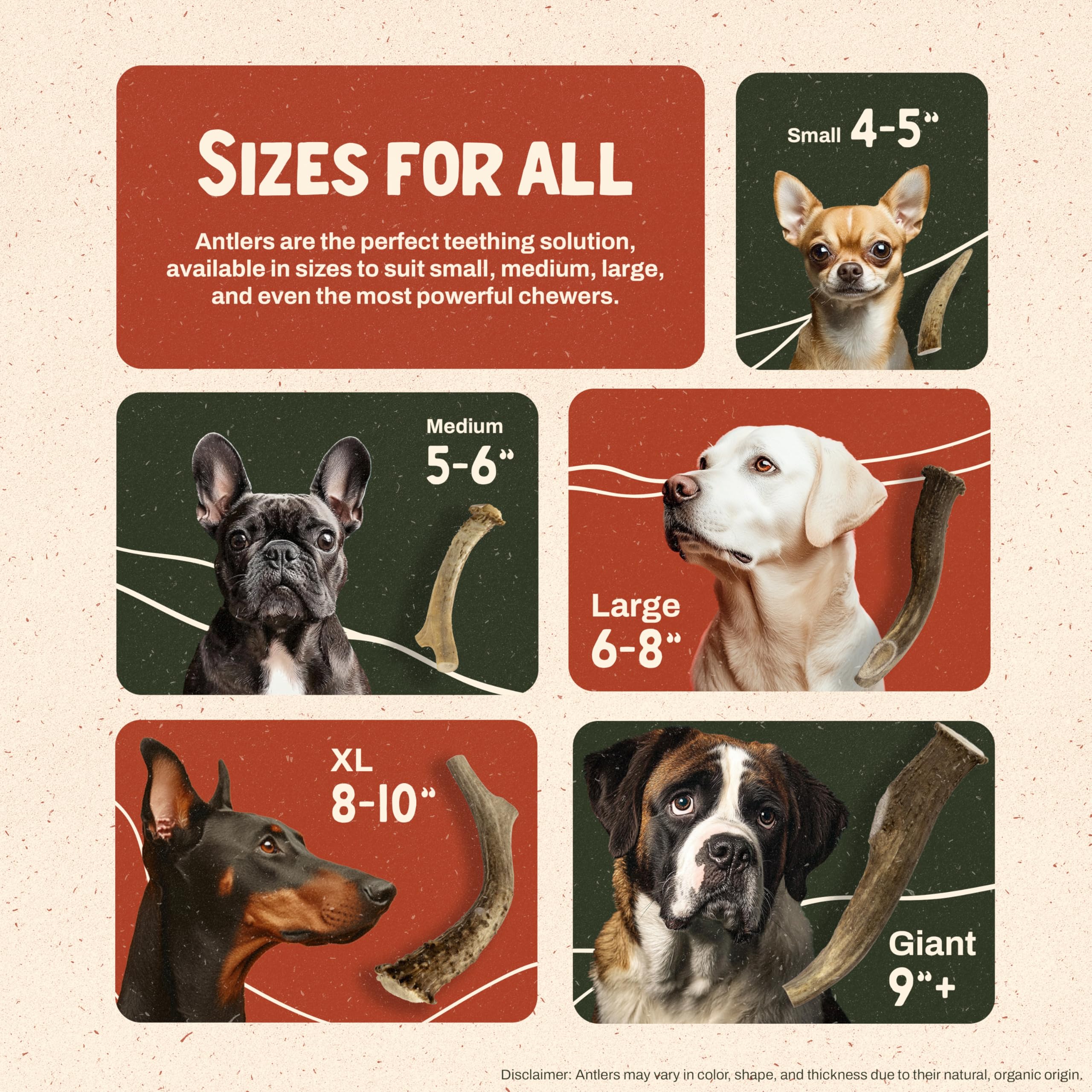 Heartland Antlers indoor-friendly chew offers distraction for energetic dogs and reduces chewing incidents.