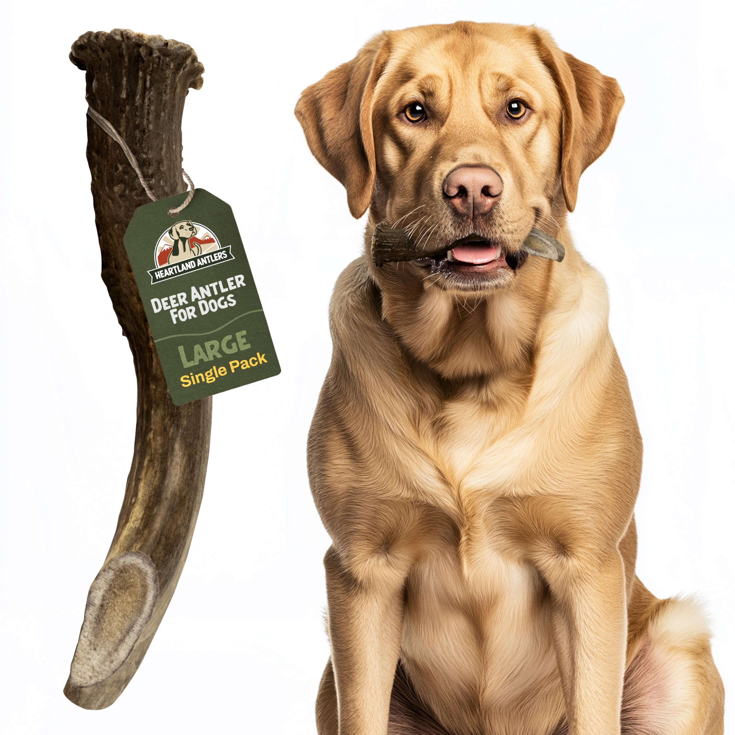 Heartland Antlers large 6-8 inch deer antler chew for dogs promotes dental care and long-lasting enjoyment.